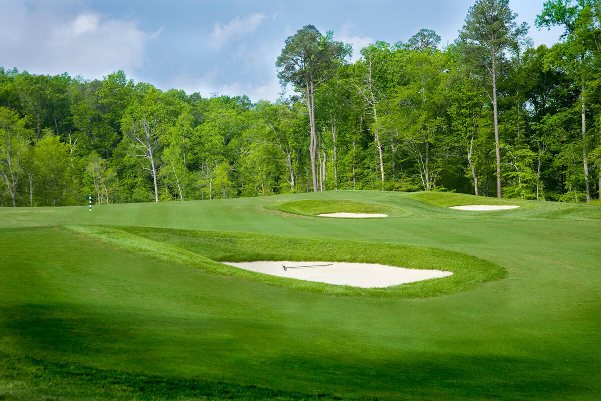 Elevated green complex with bunkers at Colonial Heritage